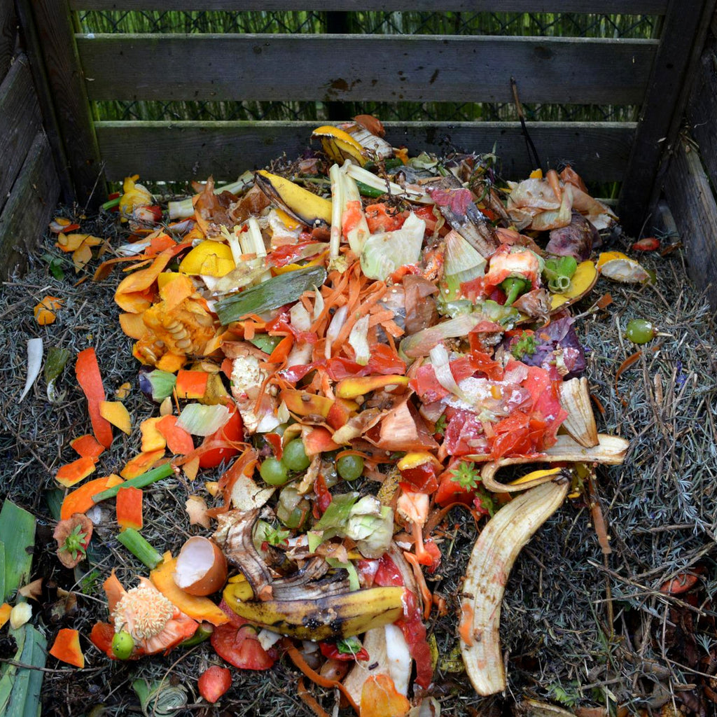 Compostage 102: Quoi?
