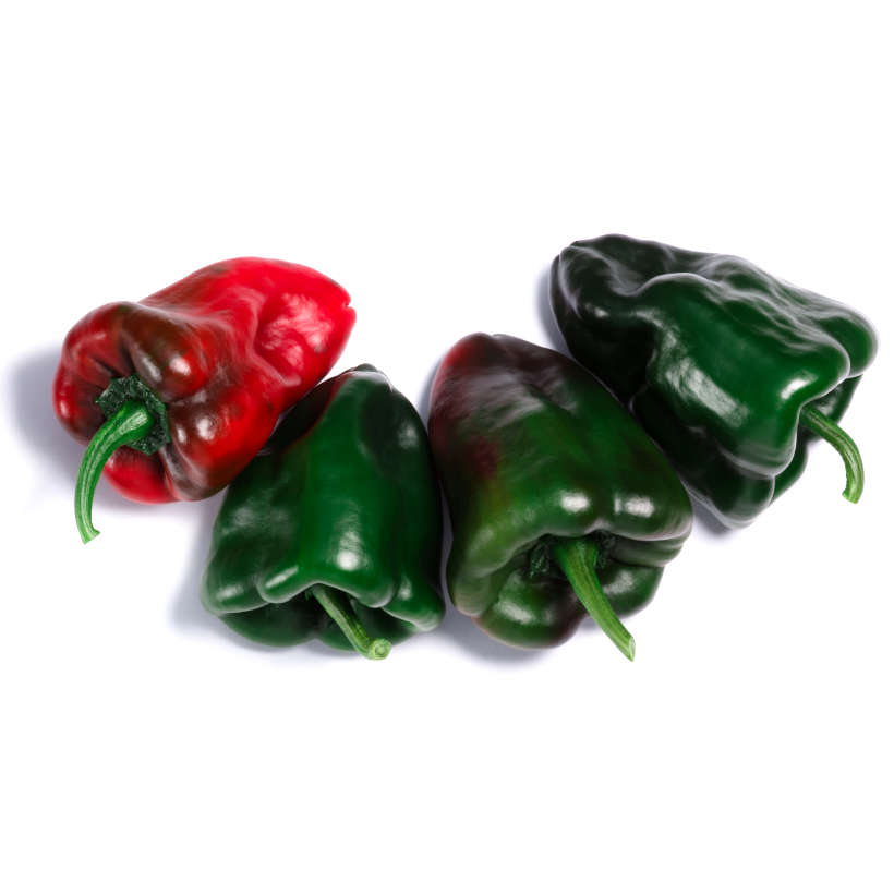 Piment Fort Ancho Poblano Ancestral