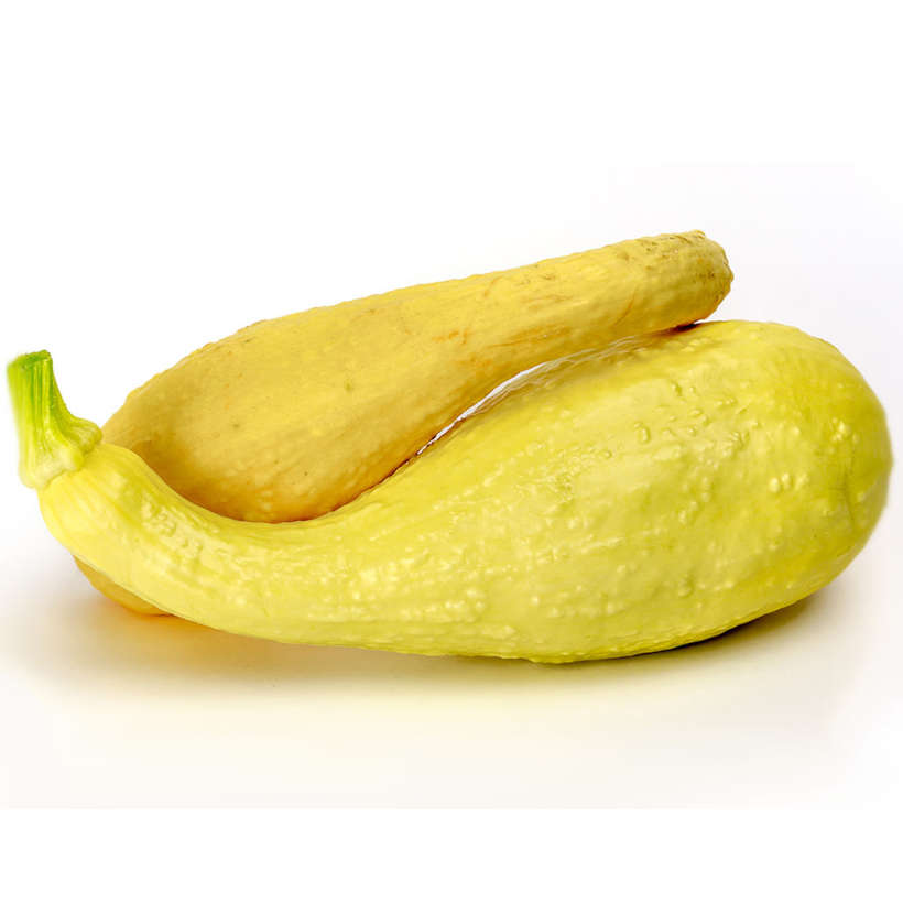 Courge Jaune Crookneck Ancestrale