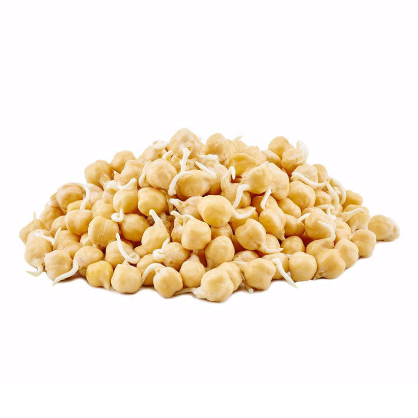 Pois Chiches Écologique pour Germinations
