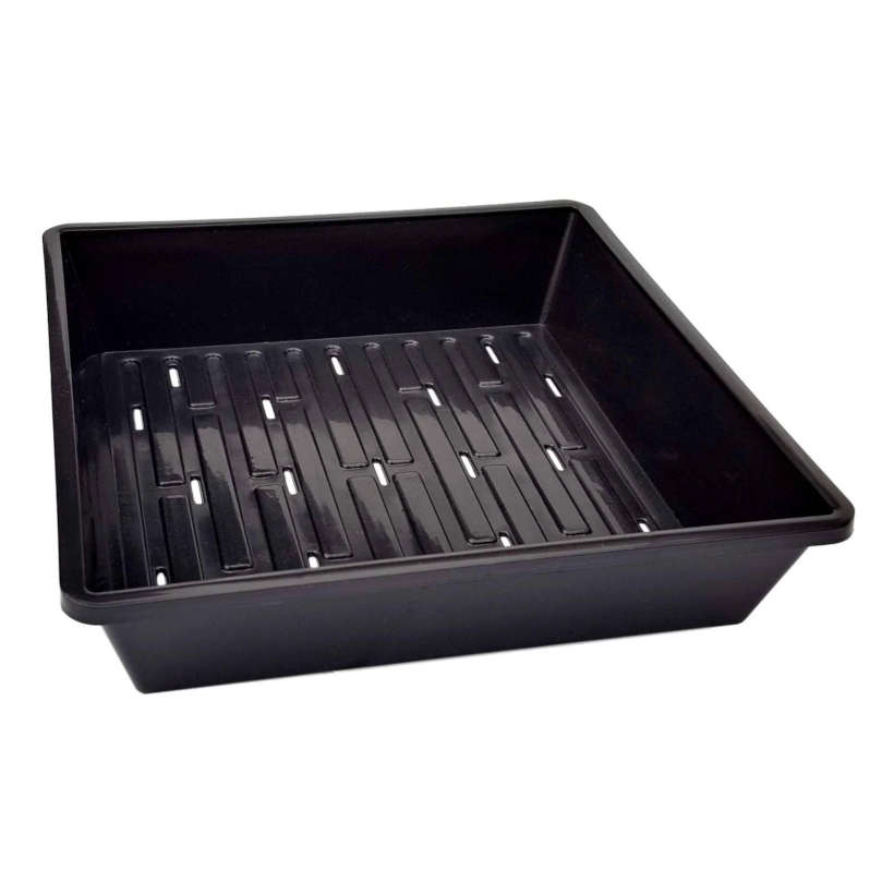 Plateau pour Micropousses de 10" x 10" avec Trous