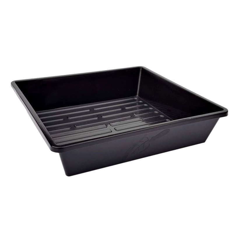 Plateau pour Micropousses de 10" x 10" sans Trous