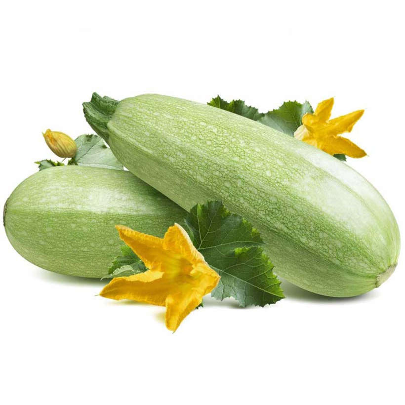 Courge à Moelle Ancestrale
