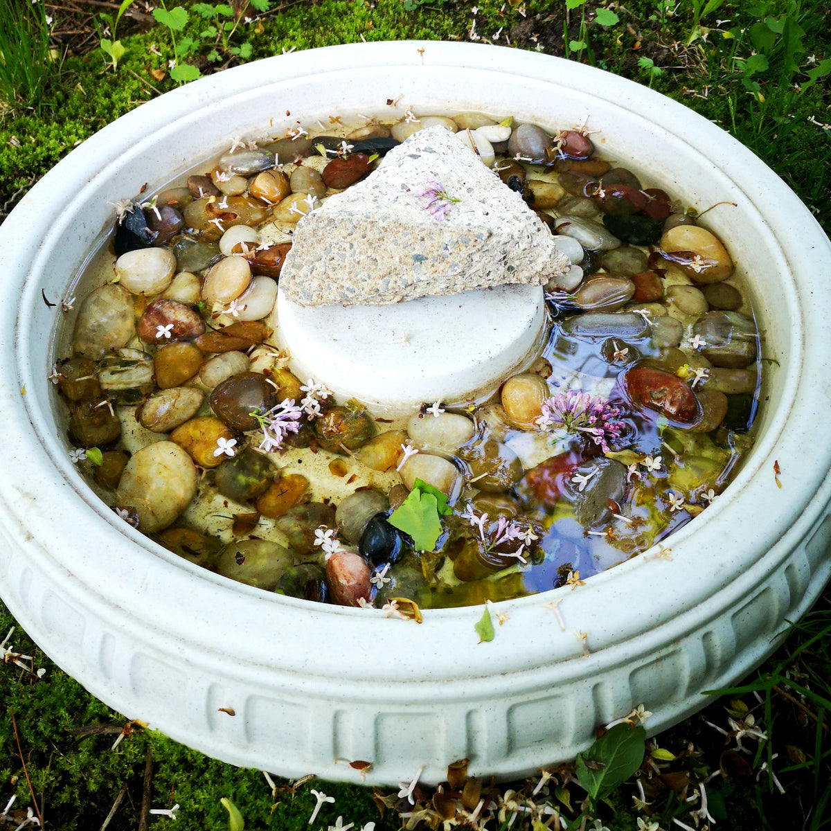 Insect baths