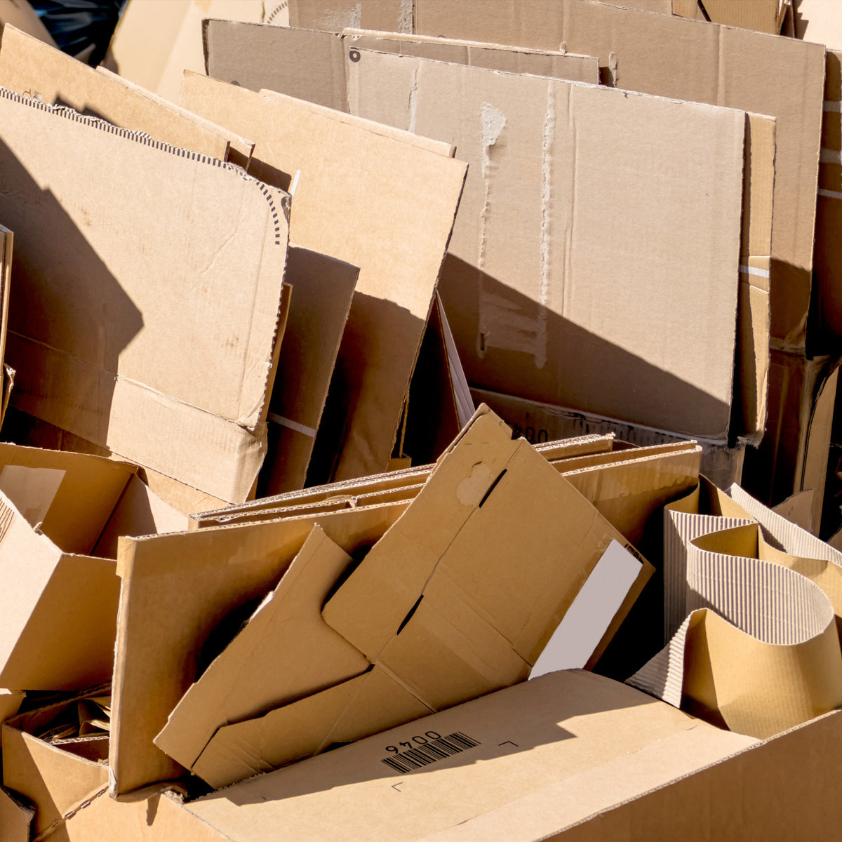Compost the cardboard