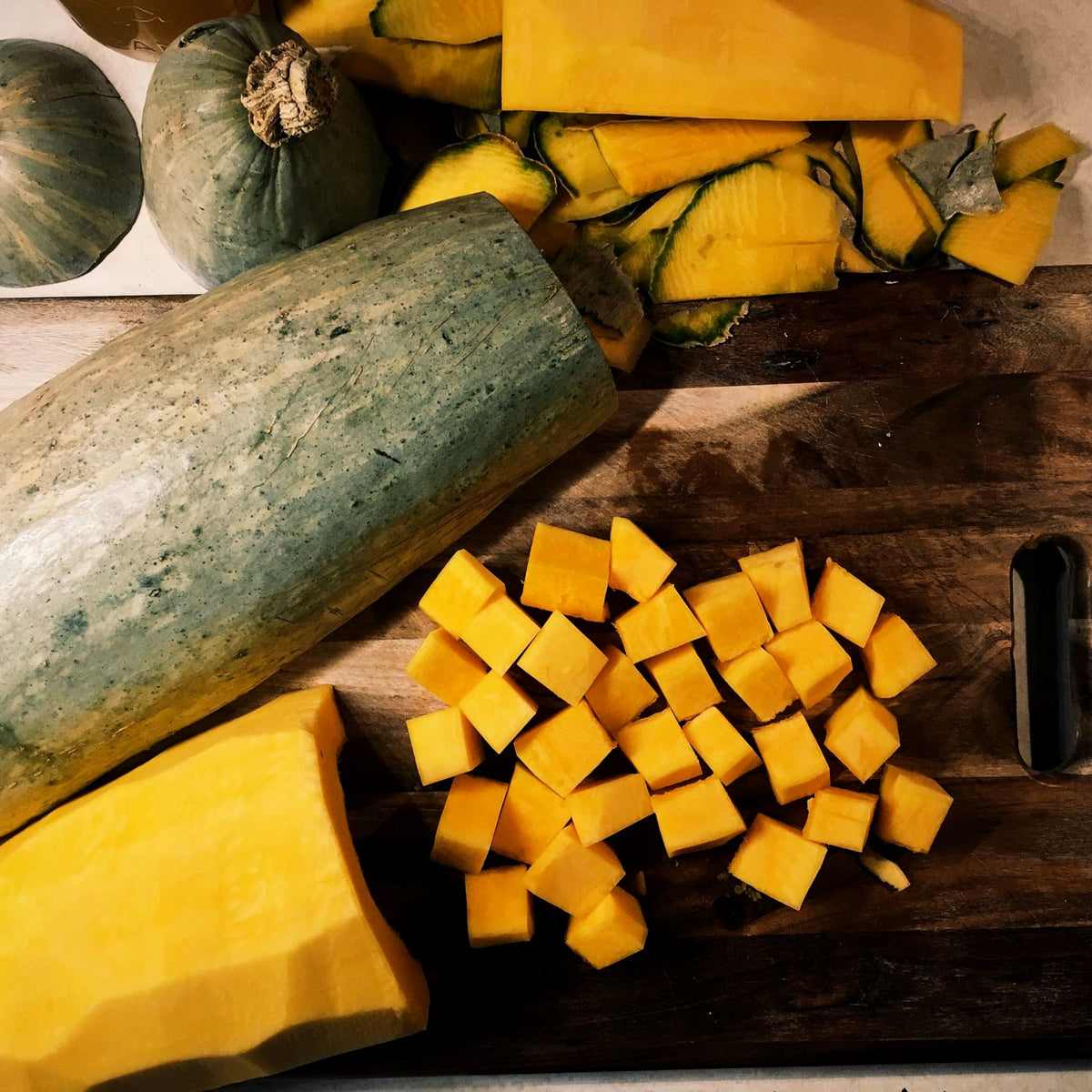 How to grow guatemalan blue squash in quebec