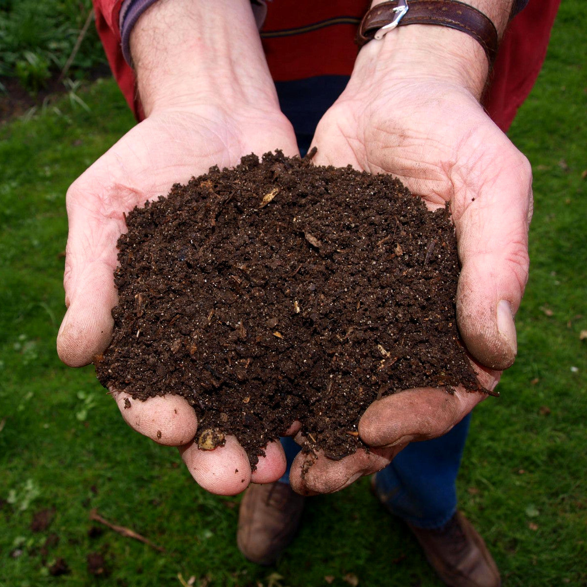 Composting 101: how?