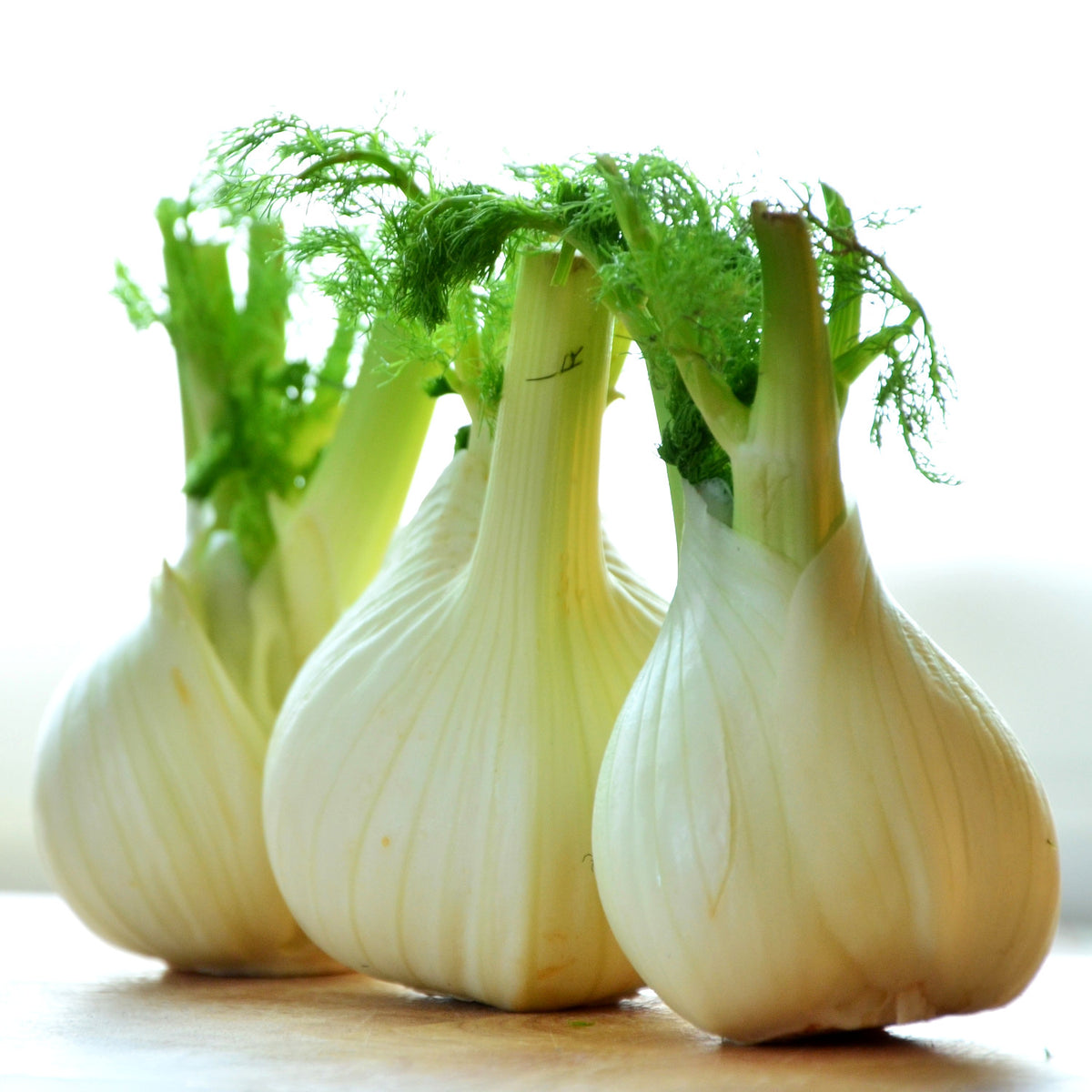 How to grow fennel in quebec
