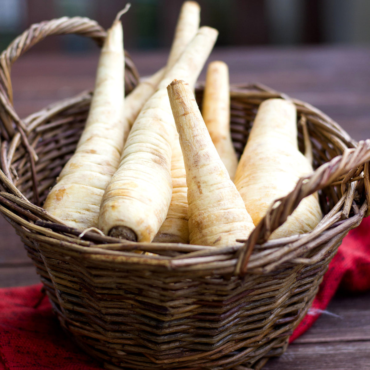 How to grow parsnips in quebec