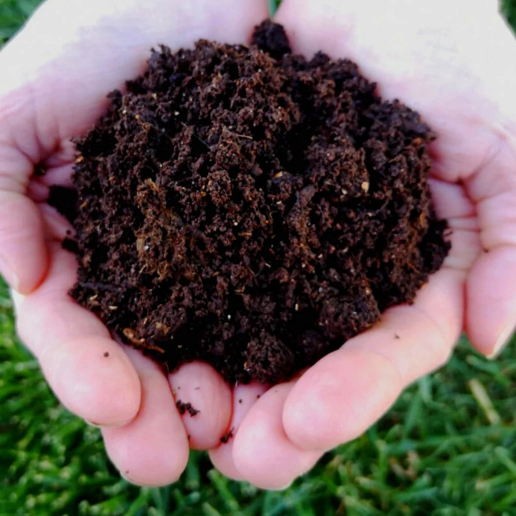 Earthworm castings