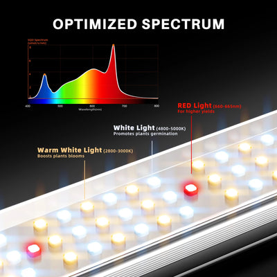Spider Farmer SE3000 EVO de 300w — spectre lumineux