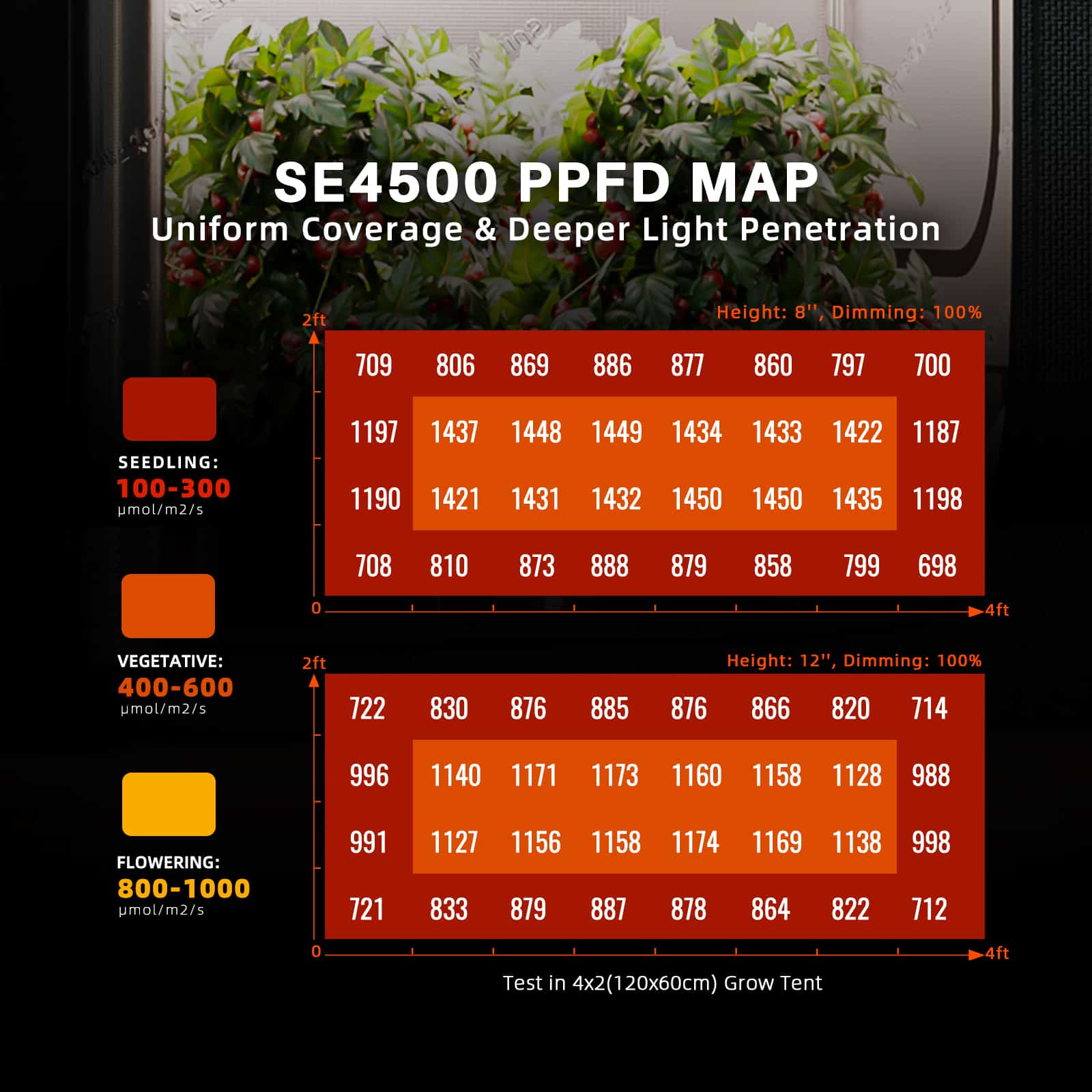Spider Farmer SE4500 EVO 320 W — PPFD distribution map