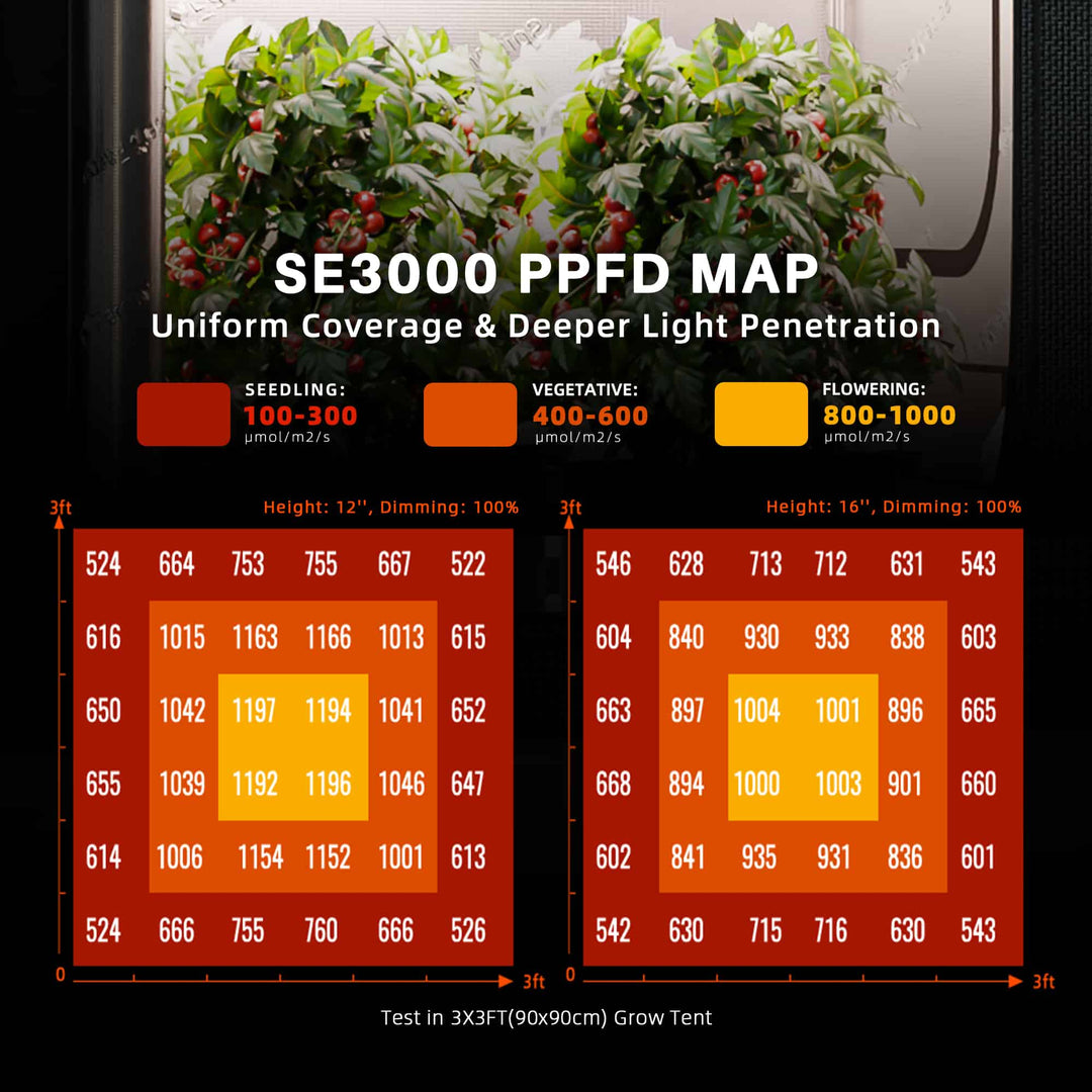 Spider Farmer SE3000 EVO 300 W — PPFD distribution map