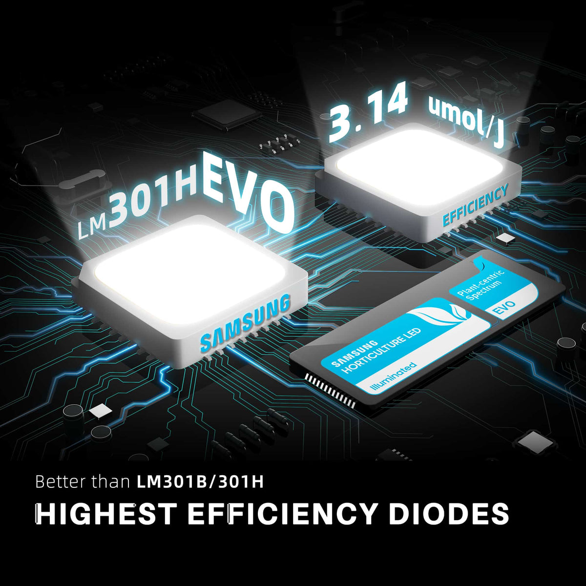 Diodes samsung lm301h evo pour lumières de culture spider farmer
