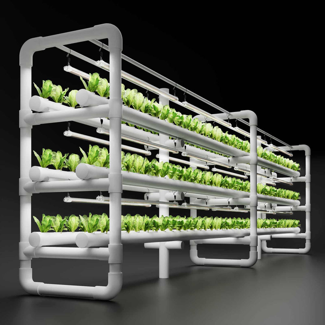 Lumières de Culture DEL Spider Farmer Glow80 — vue supplémentaire