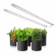Spider Farmer Glow80 LED Grow Lights
