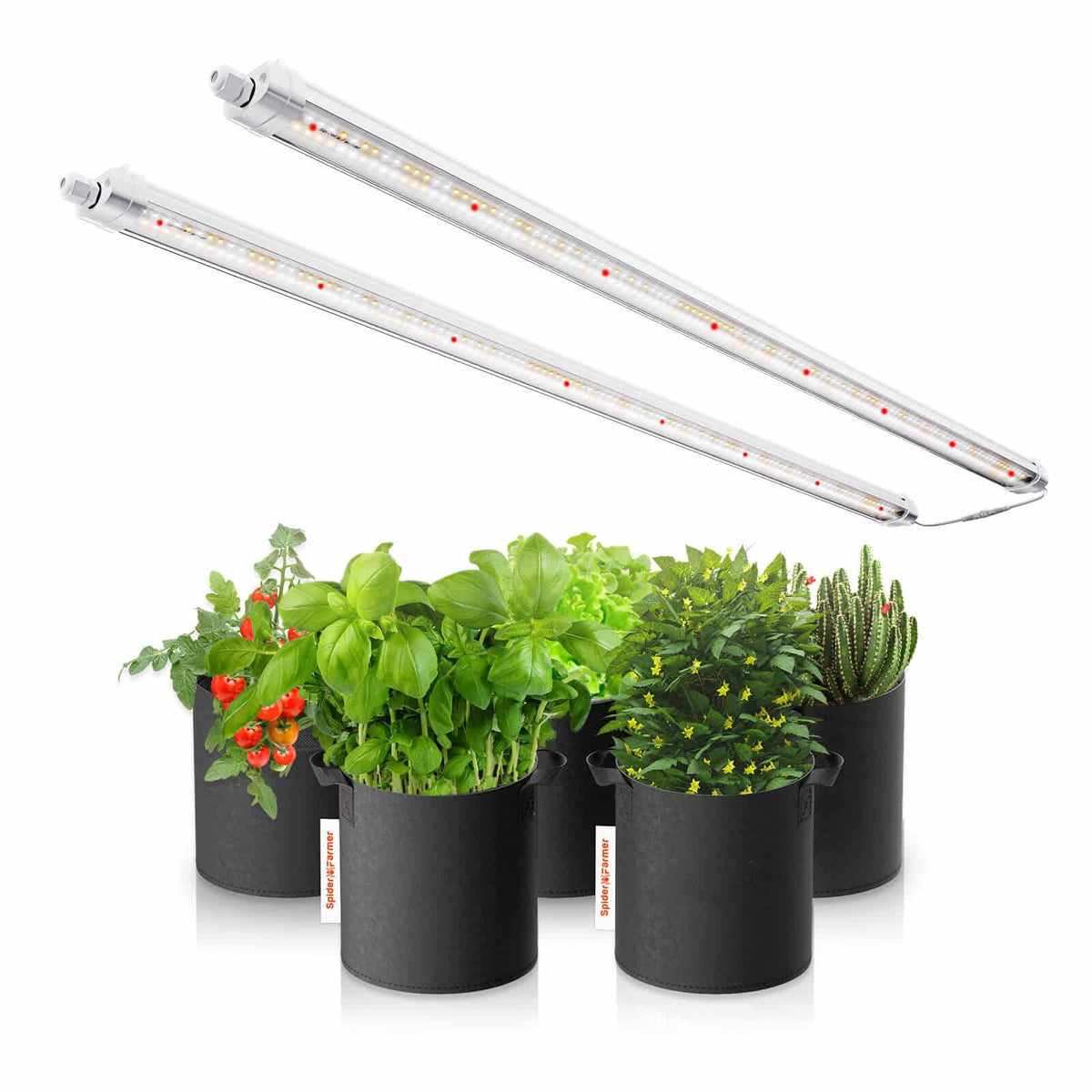 Spider Farmer Glow80 LED Grow Lights