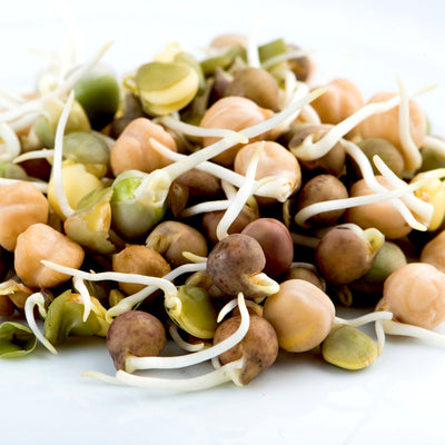 Crunchy Sprouting Mix