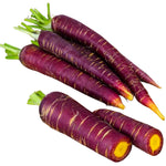 Load image into Gallery viewer, Carotte Cosmic Purple Écologique
