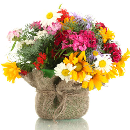 Fleurs
