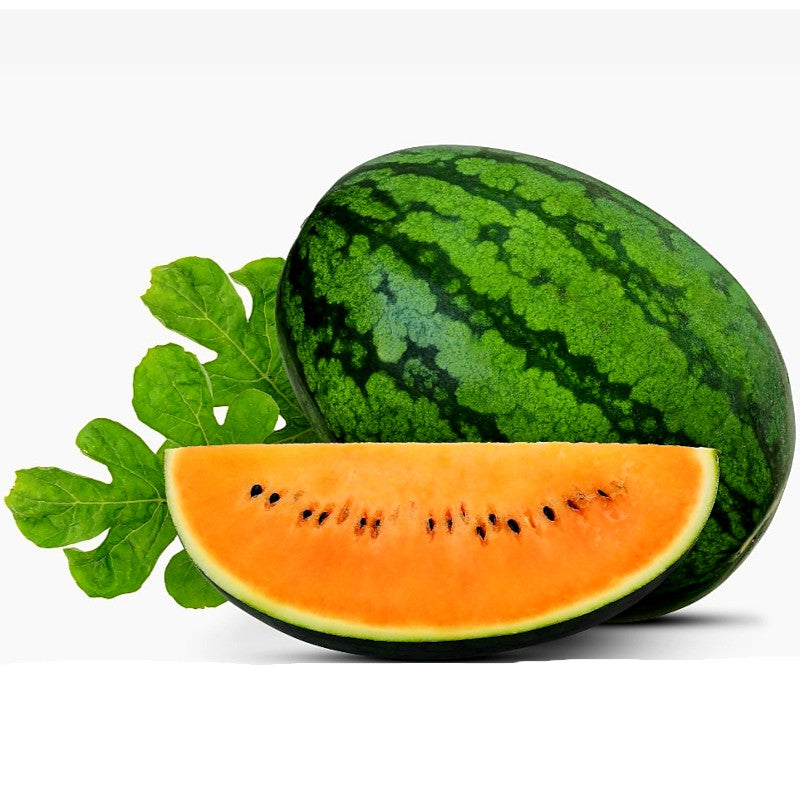 Melon d'Eau Tendersweet Orange Ancestral