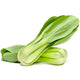 Pak Choi Heirloom (Full-Size)