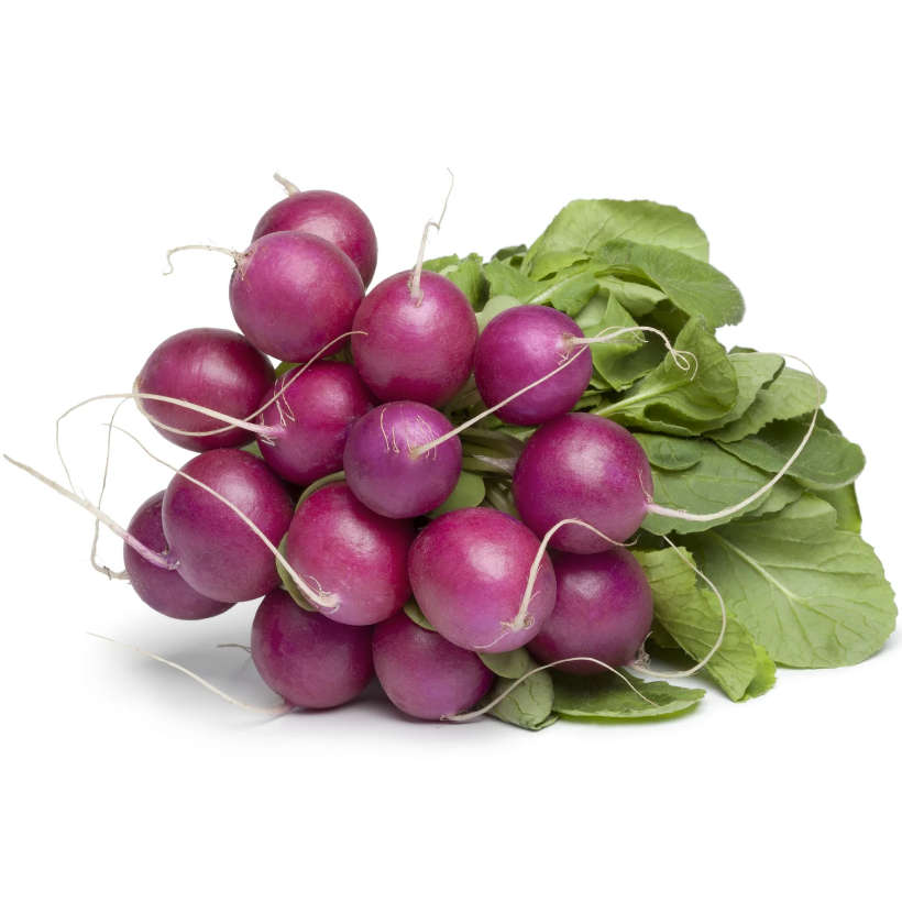Purple plum radish heirloom