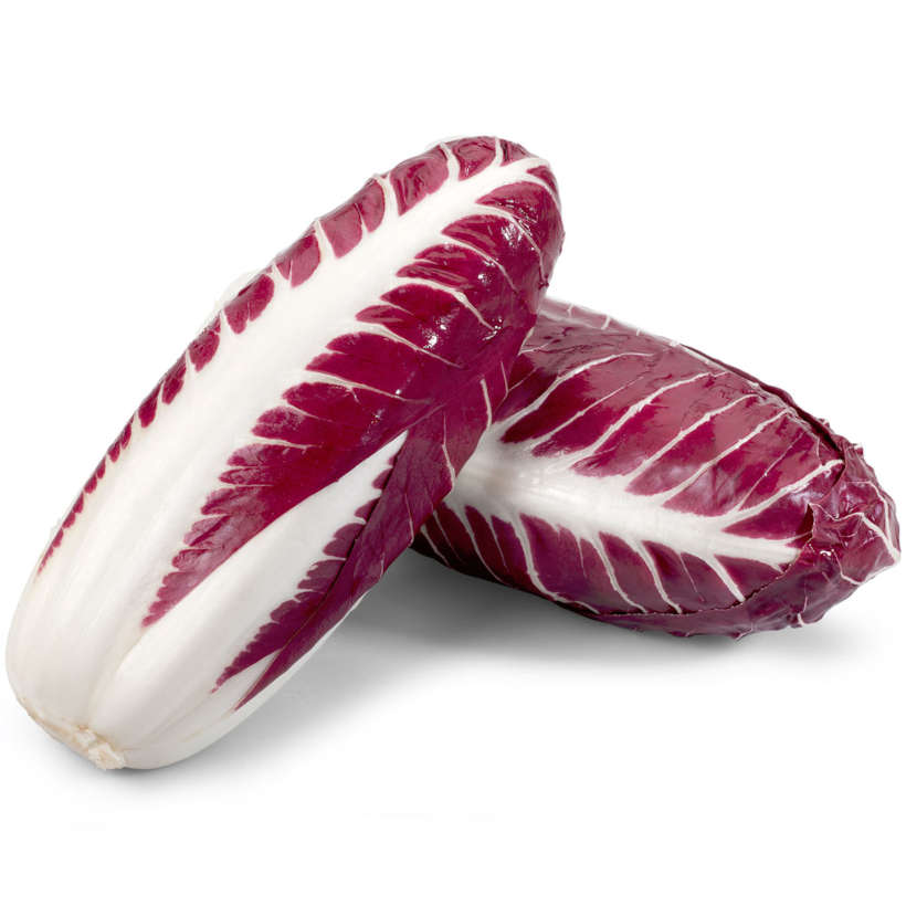 Rosso di verona radicchio heirloom