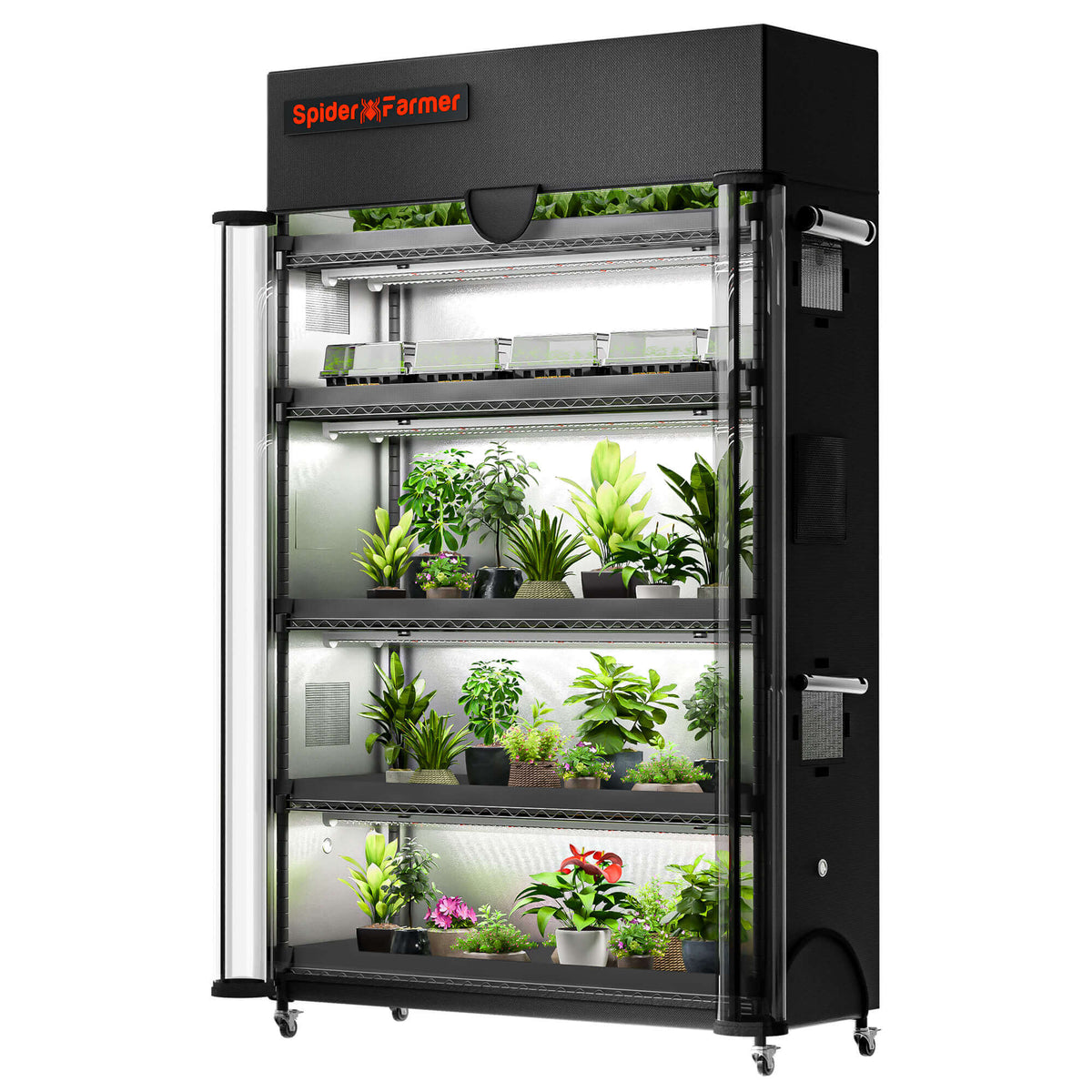 Serre de culture à 5 étages de 220w