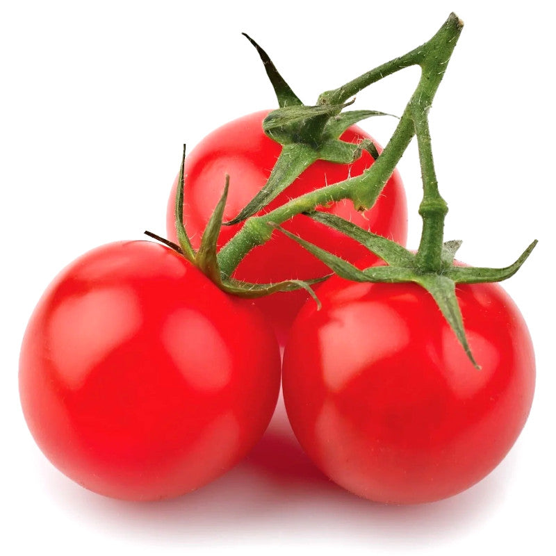 Tomate Tiny Tim Ancestrale