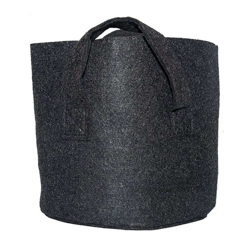 Pot à plantes en tissu de 2 gallons avec poignées