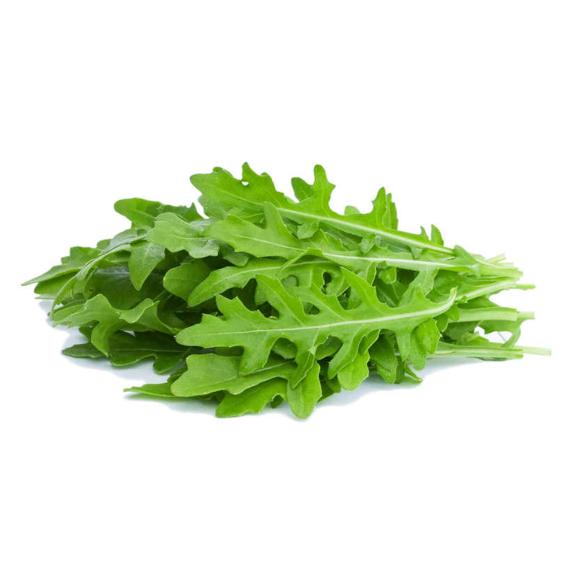 Roquette (Arugula) Écologique