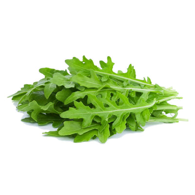 Roquette (Arugula) Écologique