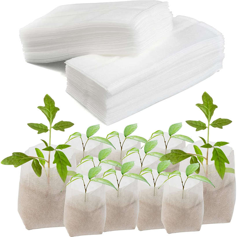 Pots biodégradables pour semis