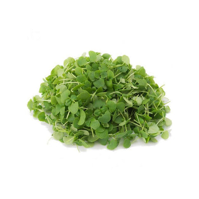 Genovese Basil — Microgreen Seeds
