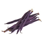Load image into Gallery viewer, Royal Burgundy Bush Bean
