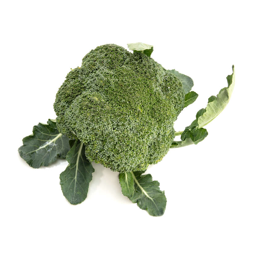 Calabrese Green Sprouting Broccoli Heirloom
