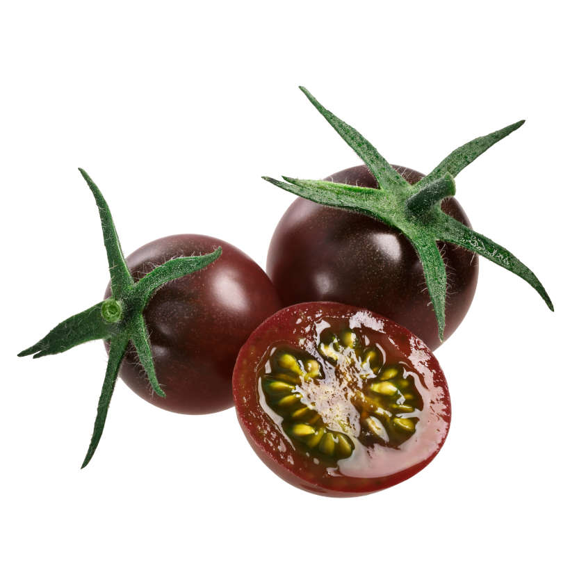 Tomate Cerise Noire Écologique