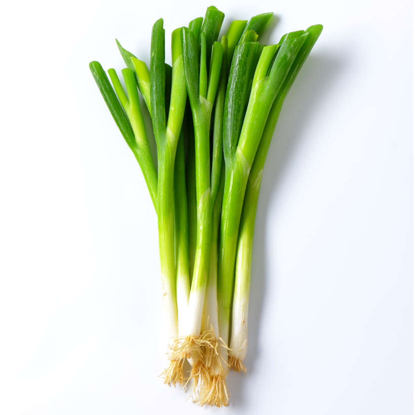 Southport White Globe Onion Heirloom