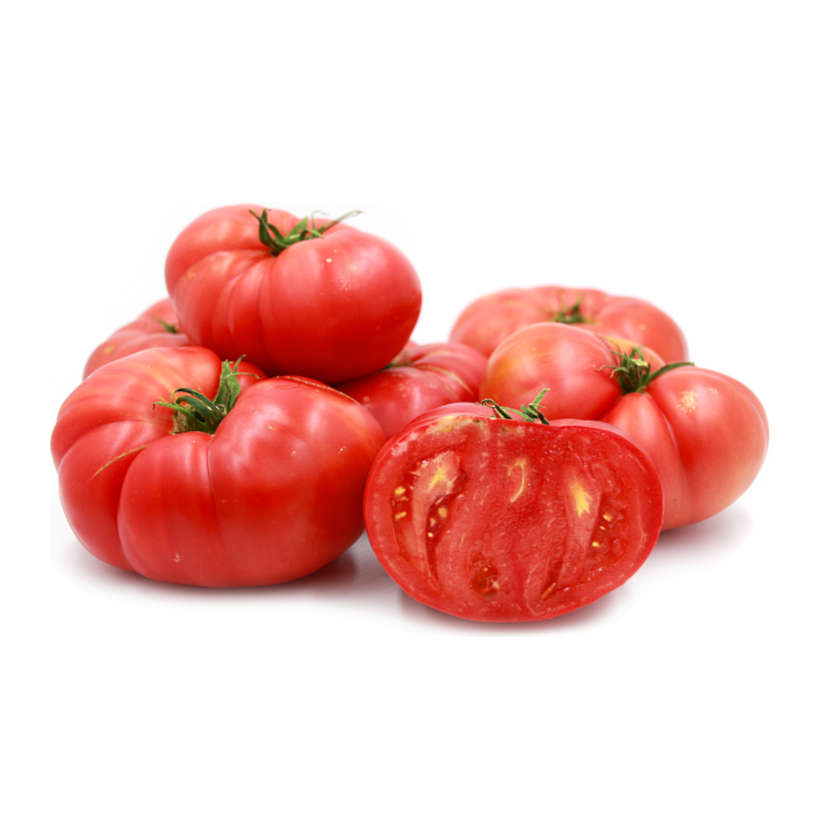 Tomate Beefsteak Brandywine Écologique