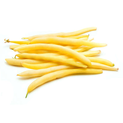 Pencil Pod Black Wax Bush Bean Heirloom
