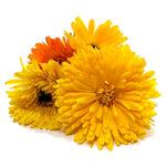 Load image into Gallery viewer, Pacific Beauty Calendula Mix
