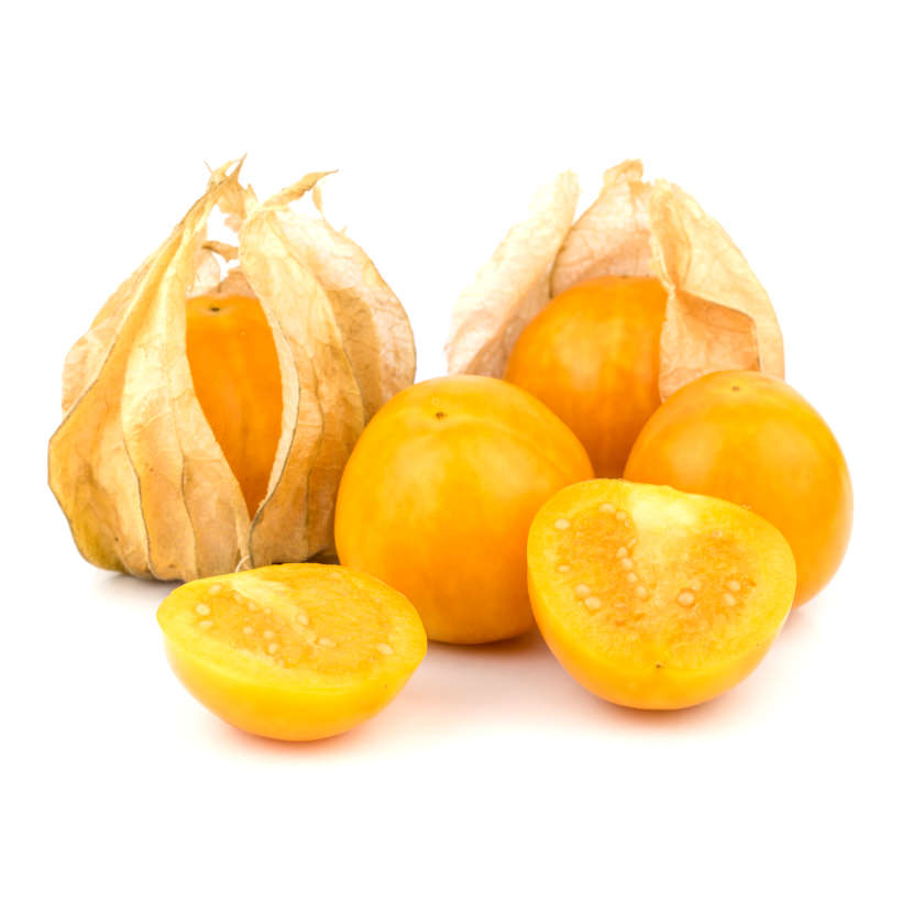 Heirloom Ground Cherry
