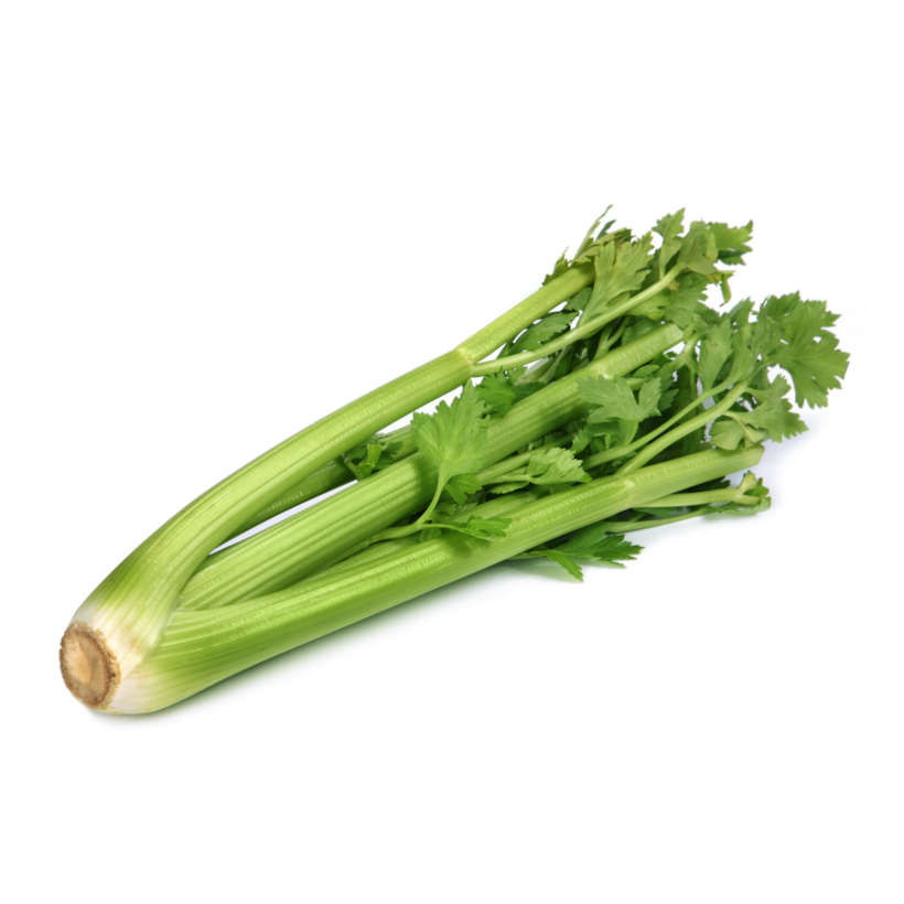 Tall utah 52 70 heirloom celery