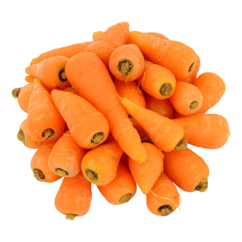 Red Chantenay Heirloom Carrot