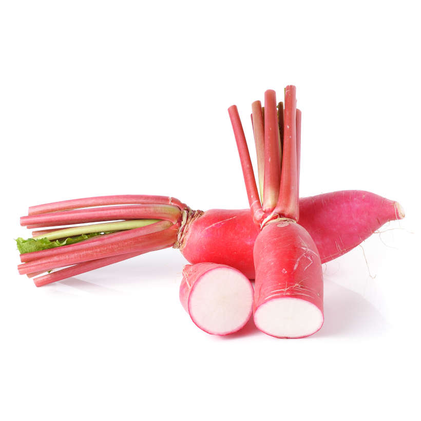 China rose winter radish