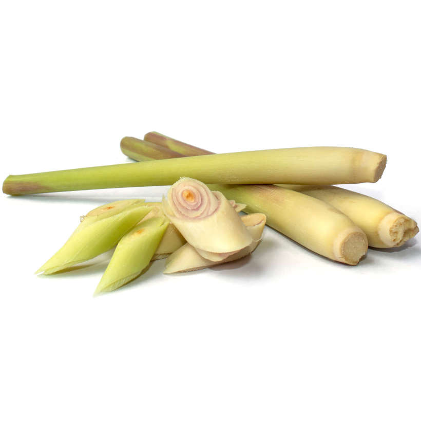 Citronelle ancestrale