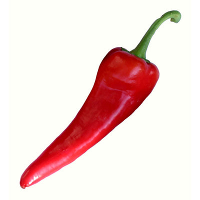 Corno di Toro Heirloom Sweet Pepper
