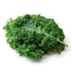 Dwarf Green Curled Heirloom Kale