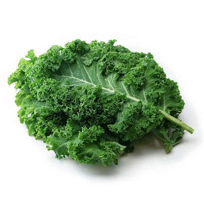 Dwarf Green Curled Heirloom Kale